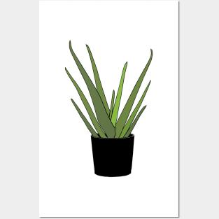 Aloe Vera Posters and Art